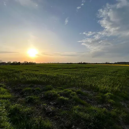 5 Star In Haderslev *