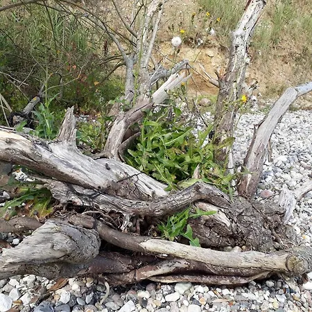 Dom wakacyjny 6 Person In Haderslev-by Traum *