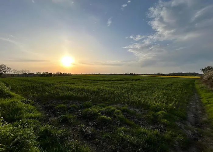 6 Person In Haderslev-by Traum *